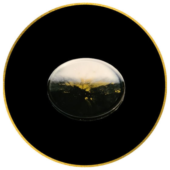 Talerz Mini Pearl Black
